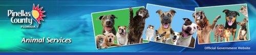 animal_services_banner